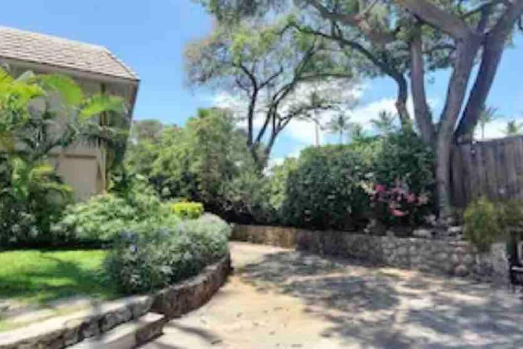 Unrivaled S Kihei Maui Location! Walk To It All! Εξωτερικό φωτογραφία