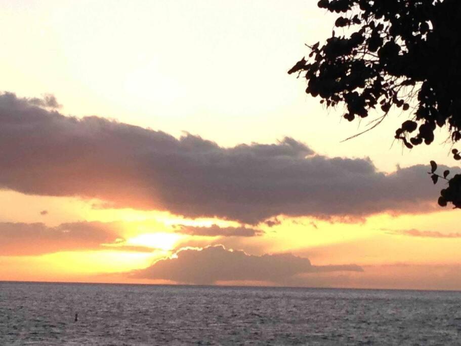 Unrivaled S Kihei Maui Location! Walk To It All! Εξωτερικό φωτογραφία